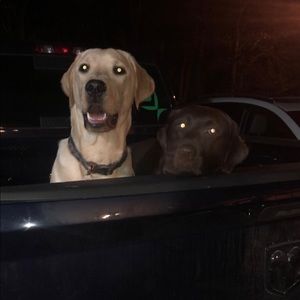 Meet your Posher, Cacatherine